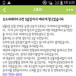 [꼭봐주세요] 강원도 인제에서 요크셔테리어 데려가신분 애타게 찾습니다...