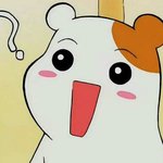 [급해] 얘들아 인스타 팔로우 있잖아