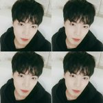 [세븐틴] 캐럿분들 염치없지만 읽어주시면 감사하겠습니다