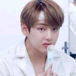 [방탄소년단] 아기태랑이는