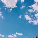 [조언부탁해] 졸사 꿀팁쫌