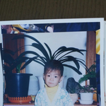 [프로듀스2] 강원도소년의 꿈