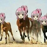 [드루와] 친구가 너무 멍청해서 정떨어져..