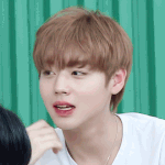 [프로듀스2] 나 진짜 솔직히 박지훈 내 <b>취향</b> 얼굴 아닌데