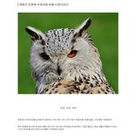 [콜로라도] 조선괴담- <b>태종</b>이 가장 두려워하던 것.jpg