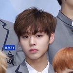 [프로듀스2] ++)박지훈 1위에 집착했던 건 강자의 폭력에 대한...