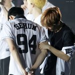 [EXO] 세훈 무는거 제일 <b>조아</b>하는거 그거 백현이다