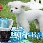 [EXO] 비비같은 강<b>쥐</b>키우거싶다~~
