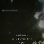 [댓글부탁해] 나진짜 <b>관</b><b>종</b>인가봐..