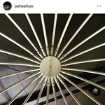 [EXO] 이거 레스토랑에서 쓰는 장식품이야?