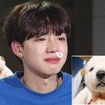 [프로듀스2] <b>임영민</b> 진짜 아가 아니냐 ㅠㅠㅠ