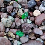 이 <b>조약돌</b>이 뭔지아세요?