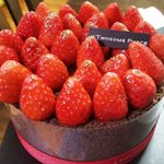 [워너원] ㅋㅋ<b>투썸</b>이면 백퍼 이거아니냐