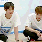 [프로듀스2] 박지훈 흔하디 흔한 인소 한 편