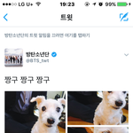 [방탄소년단] 석찌 짹ㅋㅋㅋㅋ 밥밖에 모른다는