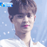 [EXO] 워너원 애들 진짜 잘 될 것 같다
