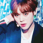 [워너원] - 워너원 리얼리티 2 -