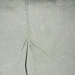 ㅅㅂ얘들아 교복치마 박은거 어케품