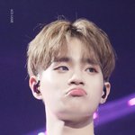 [워너원] 우<b>쭈쭈</b>ㅠㅠ