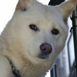 [EXO] <b>견</b>빈이 비웃는 오크(<b>그</b>)로