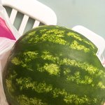 [EXO] 나오늘 6키로<b>짜리</b> 수박