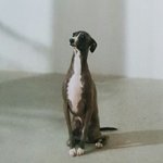 [드루와] <b>위너</b> 숙소 이거 실화?ㅋㅋㅋㅋㅋㅋㅋ