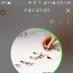 [세븐틴] 콘서트 <b>자리</b>