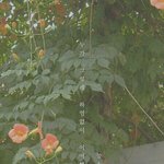 나 일주일마다 카톡 <b>상</b><b>메</b> 바꾸는데