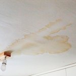 [꼭조언부탁] 화재로 전소된 집 등쳐 먹으려는 이웃