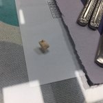 다이어트 도시락에서 나온 이<b>물질</b> 이게 뭘까요? 동물 이빨은 아니겠죠...