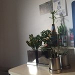 제가 키우는 식물들 <b>물주</b>는날이에요 ㅎㅎㅎ