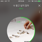 [세븐틴] <b>캐럿</b>들 여기서 스탠딩 팁 공유하자!!