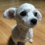[EXO] 안뇽 <b>푸름</b>이 기억 나니...?