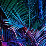 제발노래제목좀알려둬제발