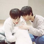 [워너원] 벽반 <b>원숭이들</b> ~~~~