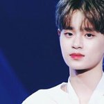 [워너원] 애들 E니스<b>프리</b> 모델이라고?!?!?!