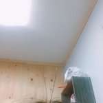 [드루와] ㅎㅎ나 더듬이생겼떠