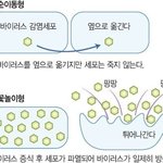 [EXO] <b>팡팡</b> <b>팡팡</b>
