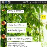 선배님 카톡프사좀.