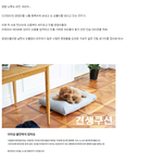 [강아지] 18년차 <b>견주</b>가 추천하는 반려견과의 행복한 삶을 위한...