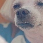 [드루와] <b>졸음</b>깨는법