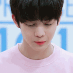 [워너원] 배지뇽ㅇ