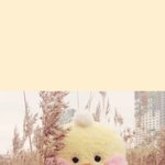 [드루와] 짝남 여친 생겼어