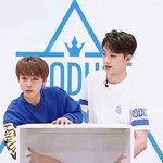 [워너원] 윙판 파는 사람 있늬