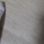 [댓글부탁해] 얘들아 ㅈㄴ 이게 뭐냐... (좀 징그러울 수도 있음