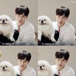 [워너원] 얘들아 하성운,,진짜 궁금해서 그래 다들 들어<b>와바</b>진짜