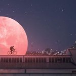 [조언부탁해] 튼살 없애 본 친구 있니 ,,,