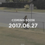 [방탄소년단] 오늘부터 나에겐 <b>대국민</b>송 되시겠다