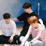 [워너원] 이 짤 비유 개<b>적절</b>해ㅋㅋㅋㅋㅋ