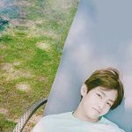 [방탄소년단] 태태 배경화면 모음 (<b>청순청순</b>)